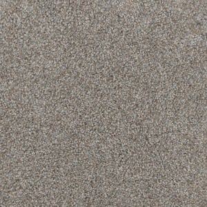 Affectionate II - Fondness - Gray 55 oz. SD Polyester Texture Installed Carpet