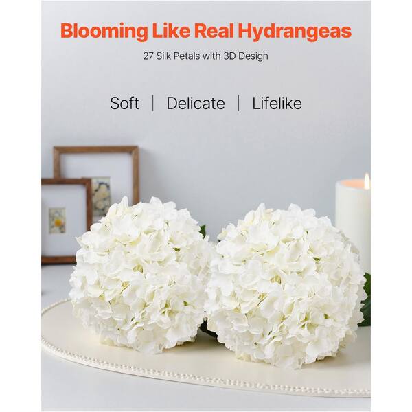 Hydrangea4937　0806 Hydrangea Bubble in Tacoma WA - Blitz & Co. Florist & Flower