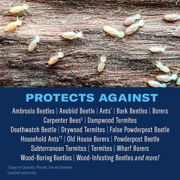 BioAdvanced Foam Termite Killer 18 oz