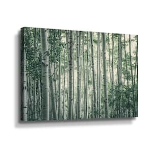 Obscured by Alters' by Eunika rogers Canvas Wall Art