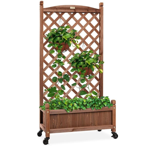 60 in. Wood Planter Box and Diamond Lattice Trellis