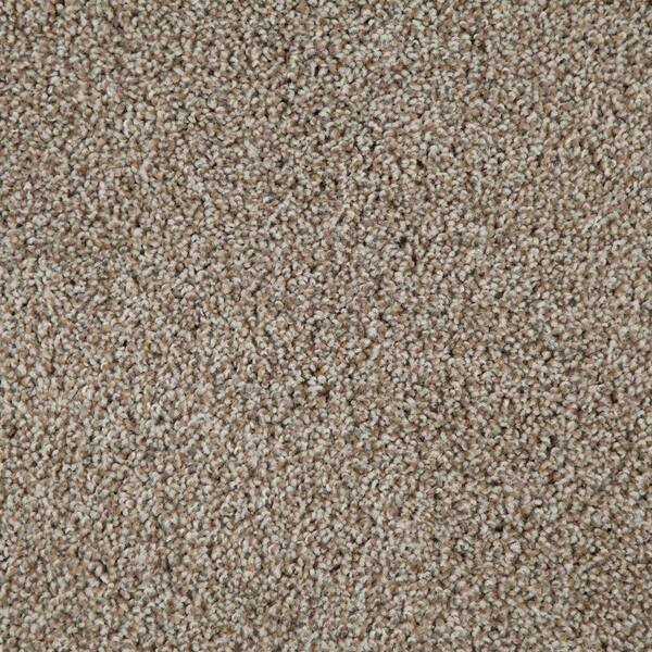 TrafficMaster 8 in. x 8 in. Texture Carpet Sample - Americana - Color Sedona