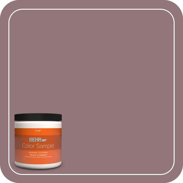 BEHR PREMIUM PLUS 8 oz. #110F-5 Phantom Hue Flat Interior/Exterior Paint & Primer Color Sample