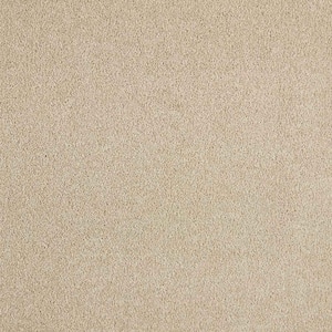 Phenomenal I  - Bamboo - Beige 48.3 oz. Triexta Texture Installed Carpet