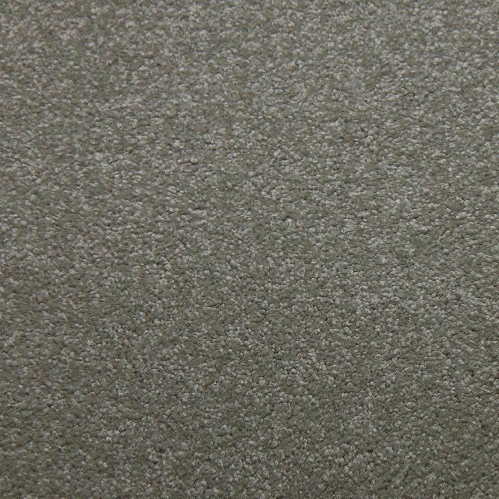 8 in. x 8 in. Texture Carpet Sample - Sweet Dreams I -Color Chrome price history on PriceWatchPro