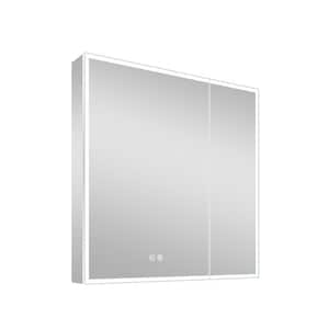 30 in. W x 30 in. H Frameless Rectangular Silver Surface Mount Medicine Cabinet with Mirror and LED Light