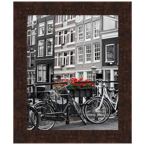 Opening Size 16 in. x 20 in. William Mottled Bronze Narrow Picture Frame