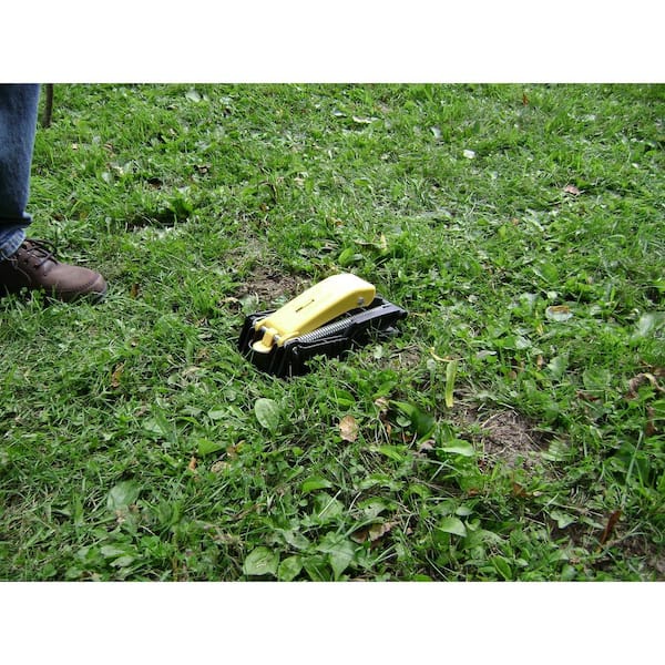 TOMCAT Mole Trap, Innovative and Effective Mole Remover Trap Kills Without  Drawing Blood, Reusable and Hands-Free, 1 Trap 036321005 - The Home Depot