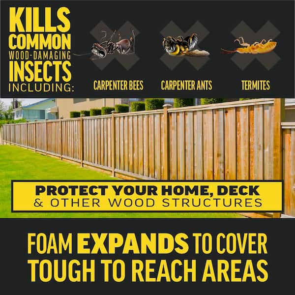 Quick Kill 18 oz. Indoor and Outdoor Carpenter Bee, Ant and Termite Killer Foam