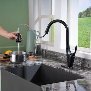2-Spray Patterns Single Handle Pull Down Sprayer Kitchen Faucet with Deckplate and Water Supply Hoses in Matte Black