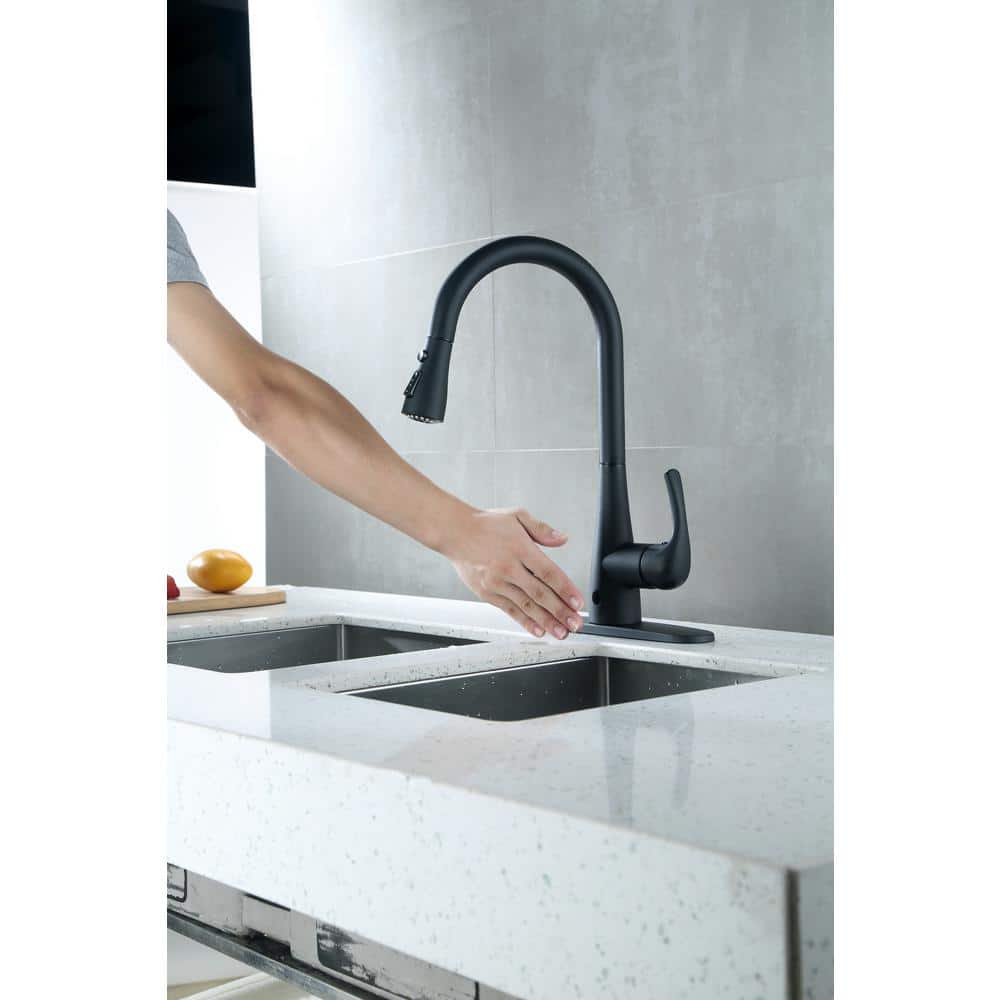 Leeds Matte Black Stainless Steel Pull-Down Kitchen Faucet