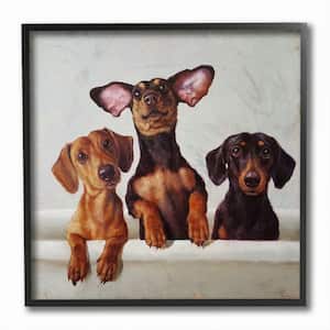 "Dachshunds in the Tub Pet Dog Bathroom Painting" by Lucia Heffernan Framed Animal Wall Art Print 12 in. x 12 in.
