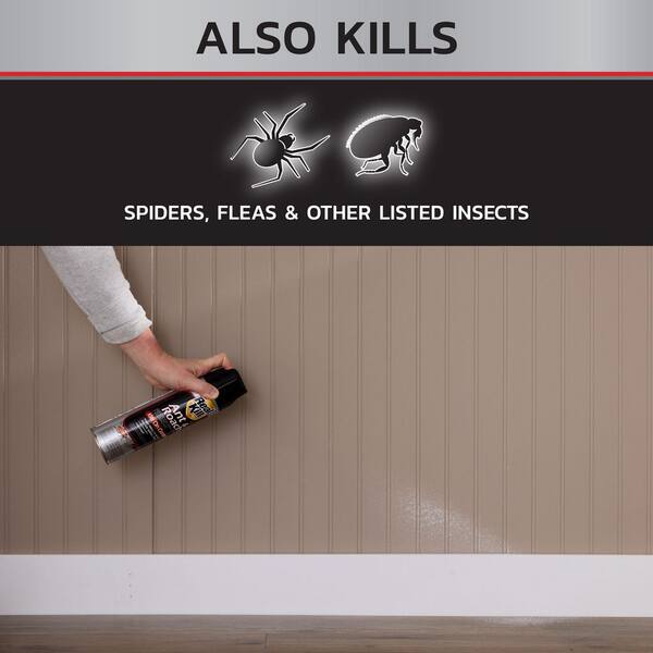 Real-Kill 17.5 oz. Indoor Ant and Roach Insect Killer Aerosol