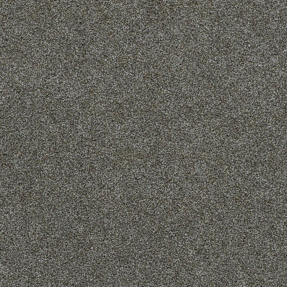 8 in. x 8 in. Texture Carpet Sample-Cinderella Soft III-Color Fresh price history on PriceWatchPro