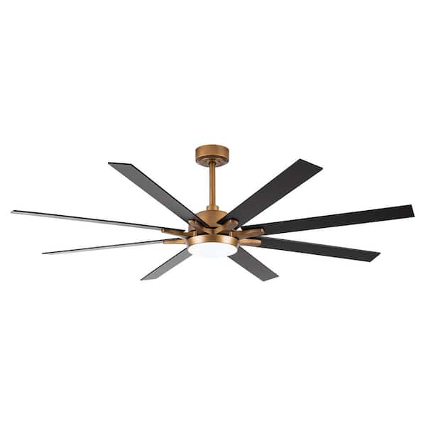 m⸜❤︎⸝ 65 Inch Ceiling Fan with Lights and Remote, 8 ABS Blades