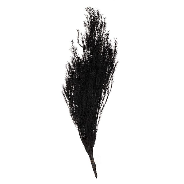 Uniquewise 24 in. Real Dried Floral Decorative Bouquet Natural Melaleuca Bracteata Grass Preserved Flowers Vase Fillers, Black