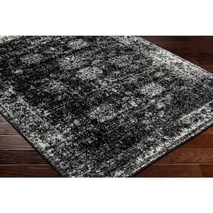 Monte Carlo Black Ombre 9 ft. x 12 ft. Indoor Area Rug