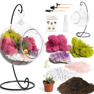 5 in. Acrylic Globe Terrarium Kit with Live Succulent, Metal Stand, Reindeer Moss, Crystals, Rocks, Tools and Figurine