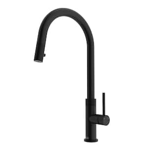 Bristol Single Handle Pull-Down Sprayer Kitchen Faucet in Matte Black