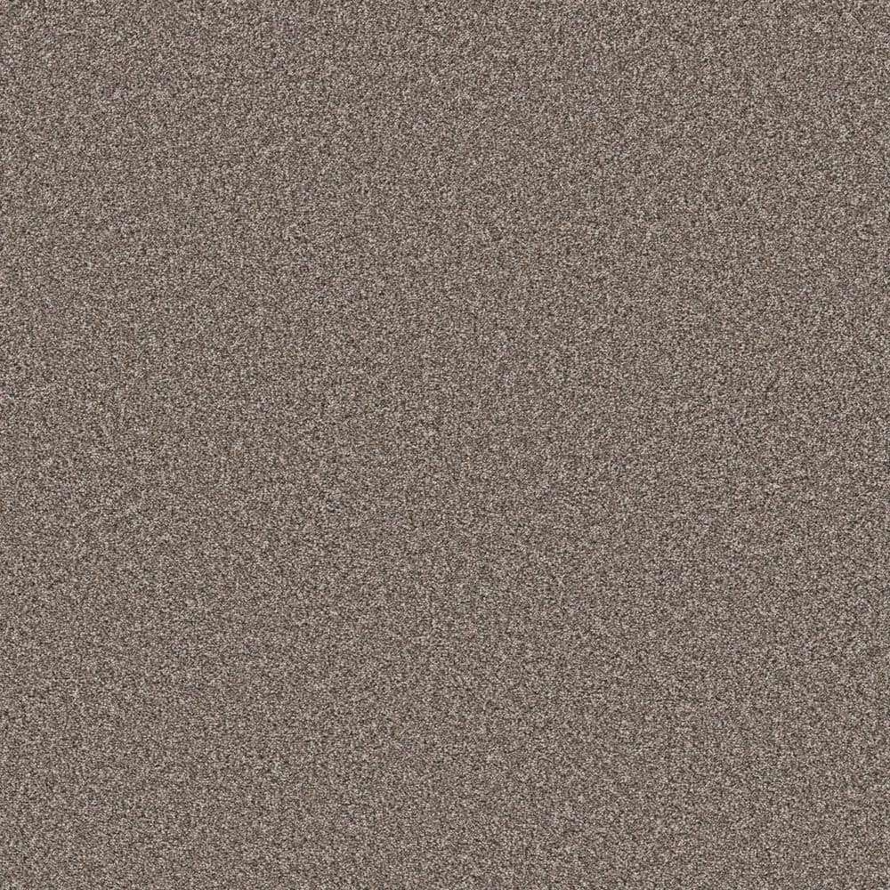 8 in. x 8 in. Texture Carpet Sample - Piece of Cake - Color Treehouse price history on PriceWatchPro
