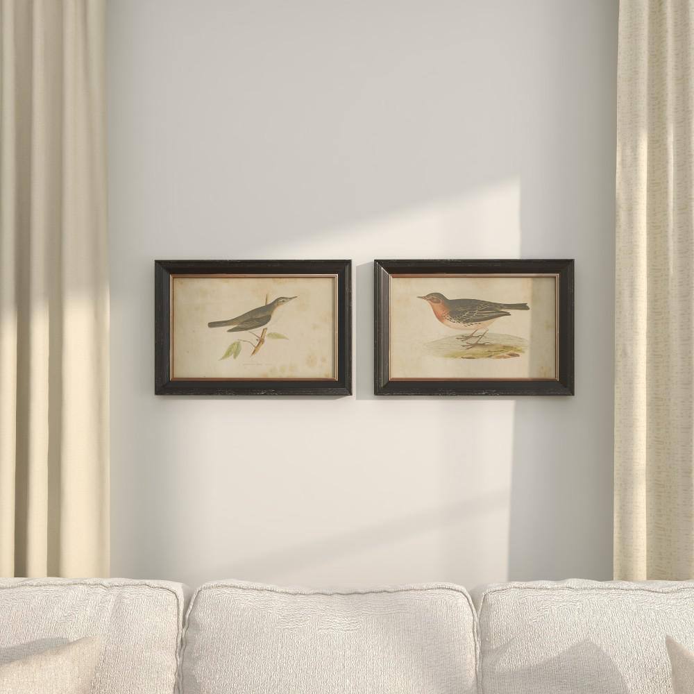 Black Framed Bird Print Wall Art Set, 20" x 14"