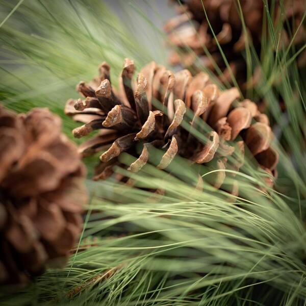 32 Metallic Pampas Grass Spray in Champagne Gold