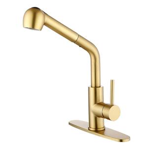 ALEASHA Single Handle Pull Down Sprayer Kitchen Faucet in Brushed Gold ...