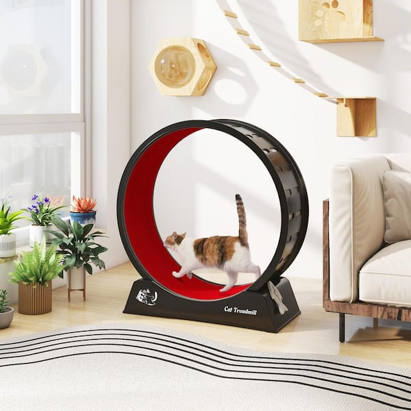 Cat Treadmill Exercise Wheel Lockable, Large
