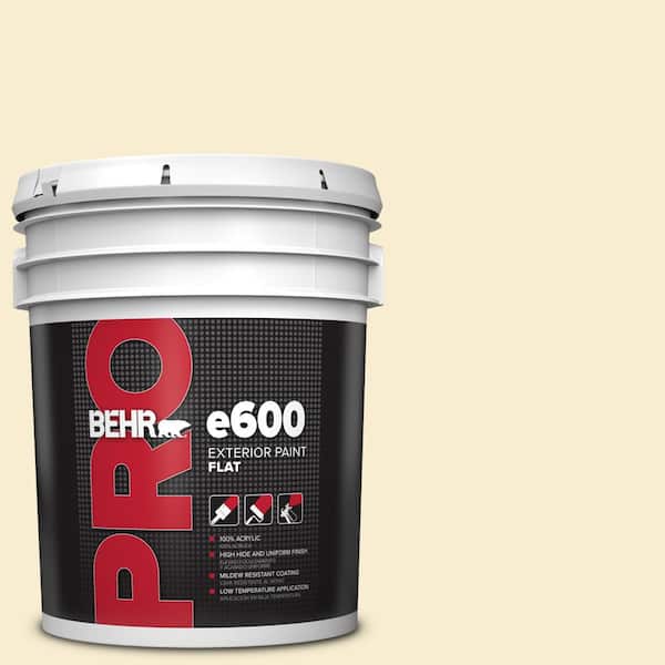 5 gal. #380E-2 Lightning White Flat Exterior Paint