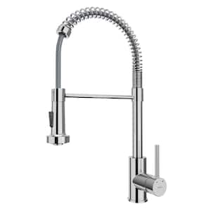 Kadira Single Handle Pull-Down Sprayer Kitchen Faucet in Chrome