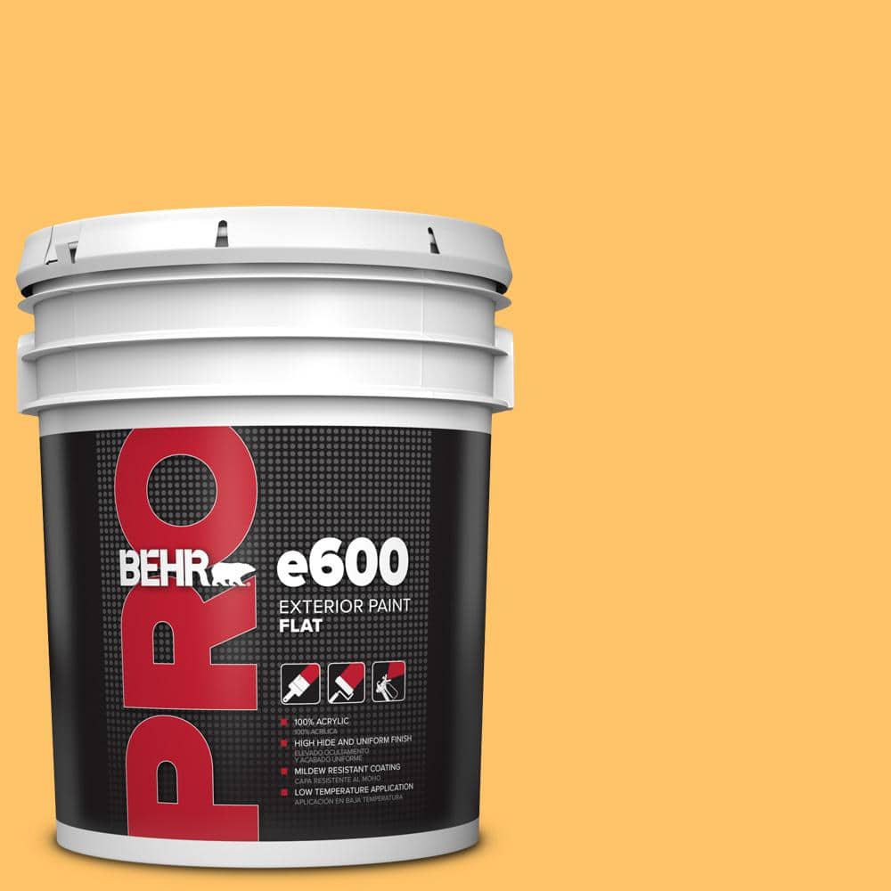 5 gal. #PPU6-06 Honey Locust Flat Exterior Paint price history on PriceWatchPro