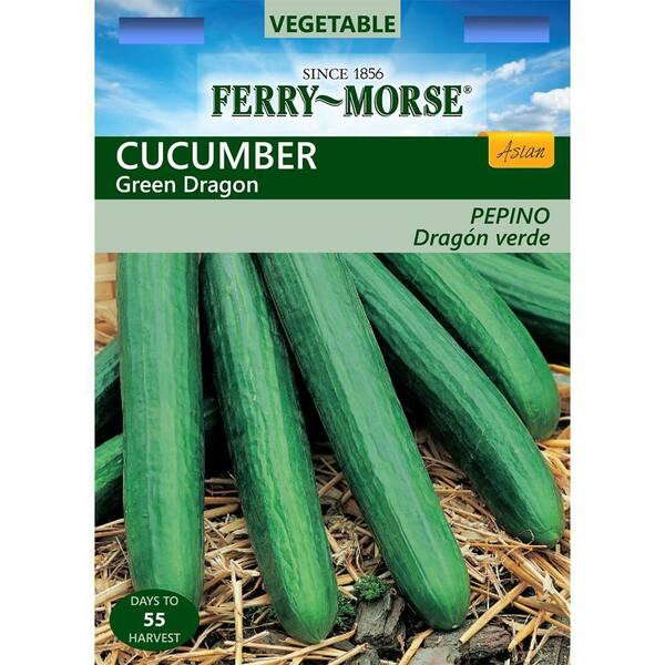FerryMorse Cucumber Green Dragon Seed4101 The Home Depot