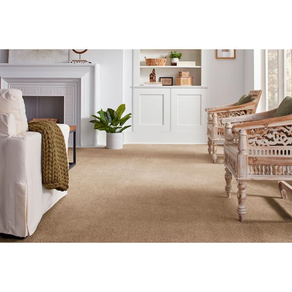 Appreciate II  - Dreams - Beige 58 oz. Triexta Texture Installed Carpet