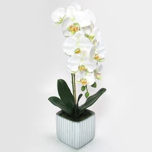 23 in. Cream White Artificial Phalaenopsis Orchid Flower Arrangement in Square Embossed Stripe Ceramic Pot