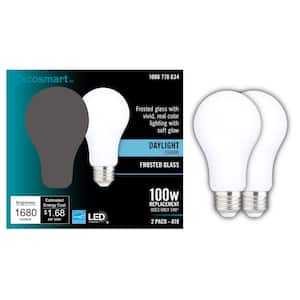 100-Watt Equivalent A19 Dimmable CEC Frosted Glass Filament LED Light Bulb in Daylight (2-Pack)