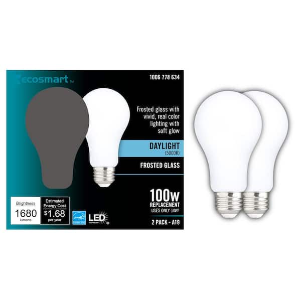 EcoSmart 100-Watt Equivalent A19 Dimmable CEC Frosted Glass Filament LED Light Bulb in Daylight (2-Pack)