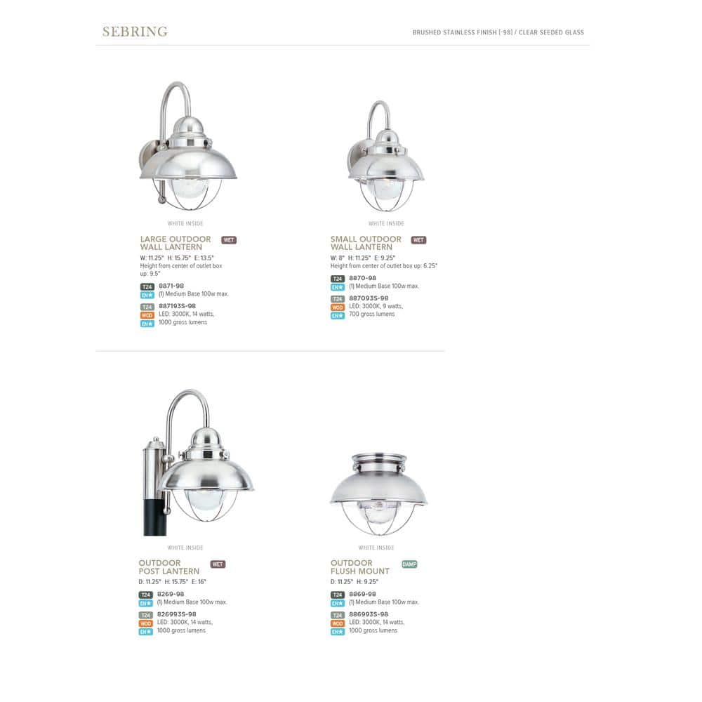 Brushed Stainless Steel Outdoor Wall Sconce with Clear Seeded Glass Shade