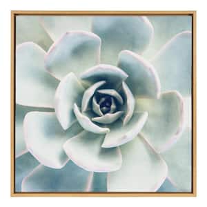 Sylvie "Succulent 7" by F2 Images Framed Canvas Wall Art