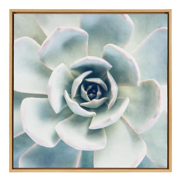 Kate and Laurel Sylvie "Succulent 7" by F2 Images Framed Canvas Wall Art