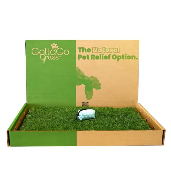 Gotta Go Grass Bermuda Refill Plus Waste Bag Dispenser Plus Toy Ball (2-Pack )