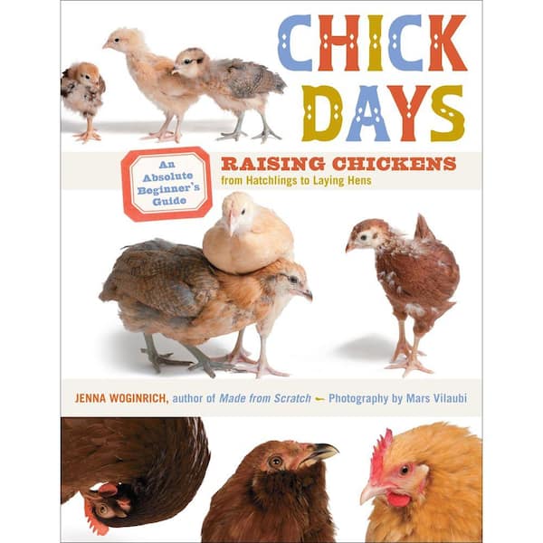 Unbranded Chick Days: An Absolute Beginner's Guide to Raising Chickens from Hatchlings to Laying Hens