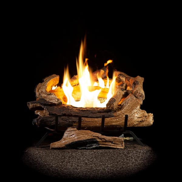 Emberglow American Elm 24 in. Vent-Free Propane Gas Fireplace Logs