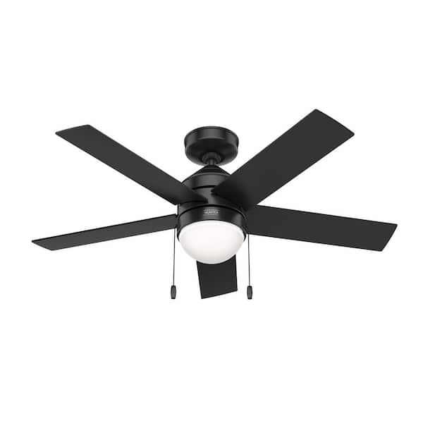 Hunter Rogers 44 in. Indoor Matte Black Ceiling Fan