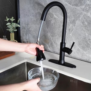 Single-Handle Pull Down Sprayer Kitchen Faucet with Advanced 3-Setting Spray in Matte Black
