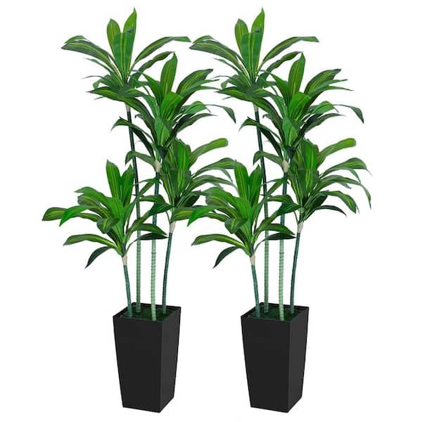 hykolity Dracaena 5 ft. Artificial Dracaena Trees Tall Faux Tree in Black Tall Planter 2-Pack