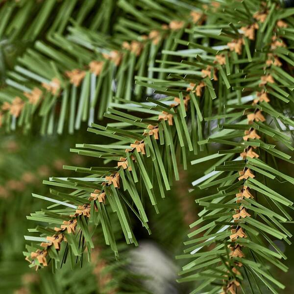 Are Fir Branches Bad For Dogs