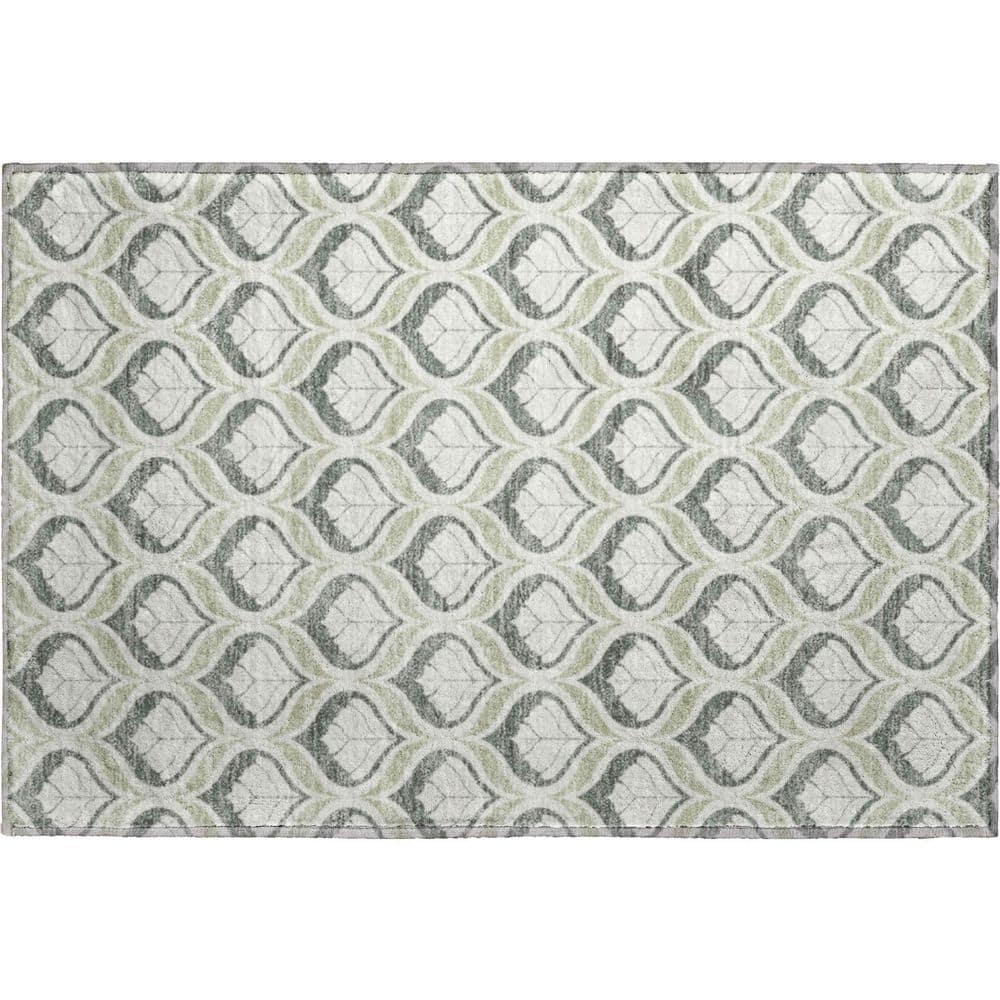 Mayfield Premium Machine Washable Abstract AMF2379 Celery 2 ft. x 3 ft. Accent Rug price history on PriceWatchPro