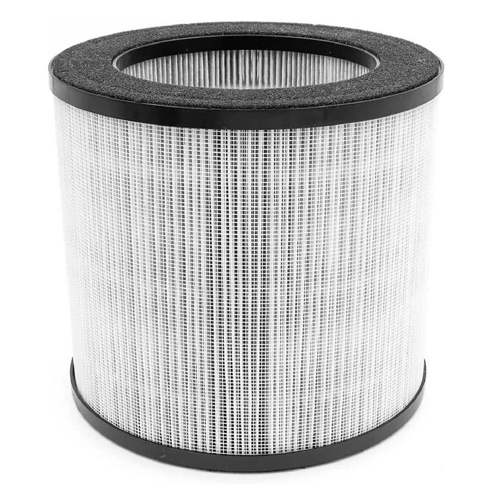 150A(e) HEPA13+ Carbon Replacement Filter price history on PriceWatchPro