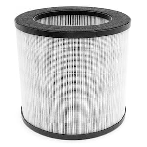150A(e) HEPA13+ Carbon Replacement Filter