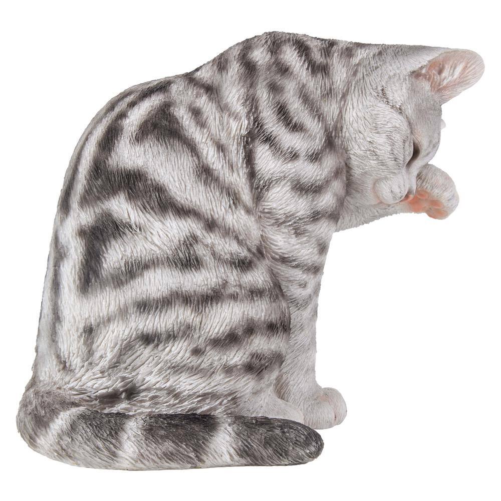 Gray Poly-resin American Shorthair Cat Washing Statue